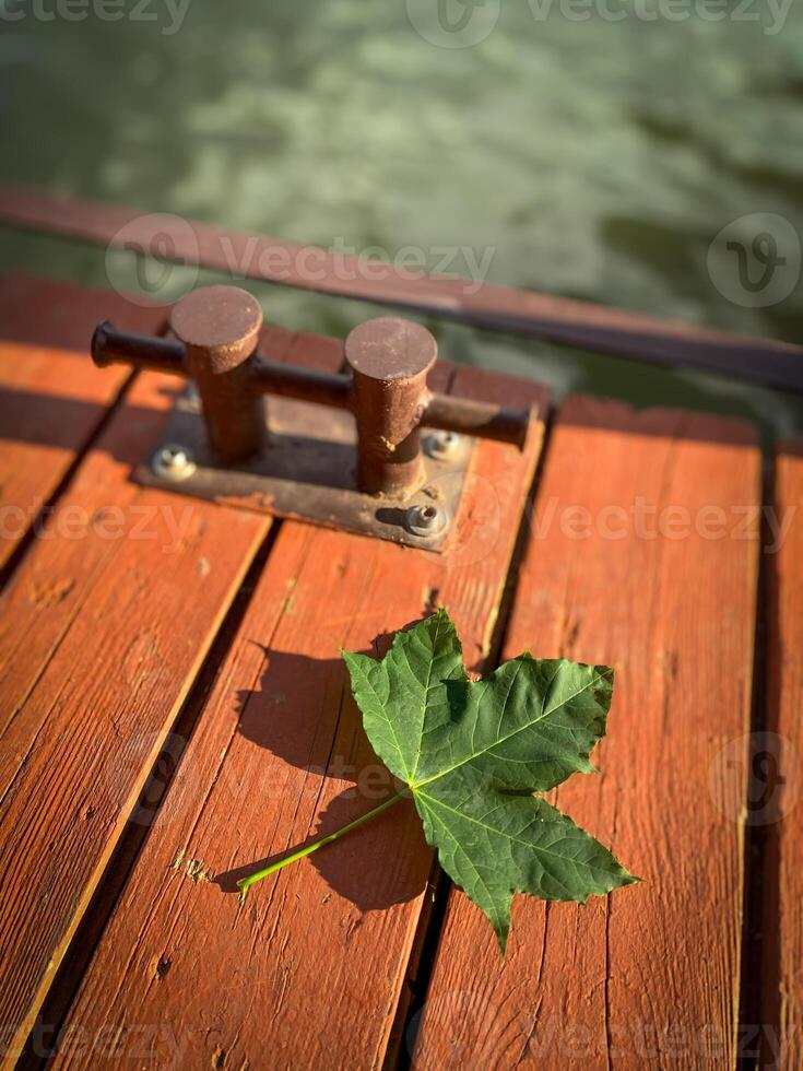 Maple leaf lying on wooden planks of the pier by the water photo