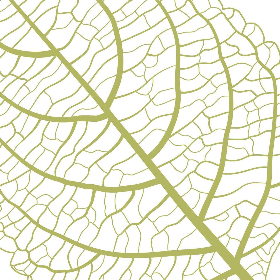 Green closeup leaf vein background vector