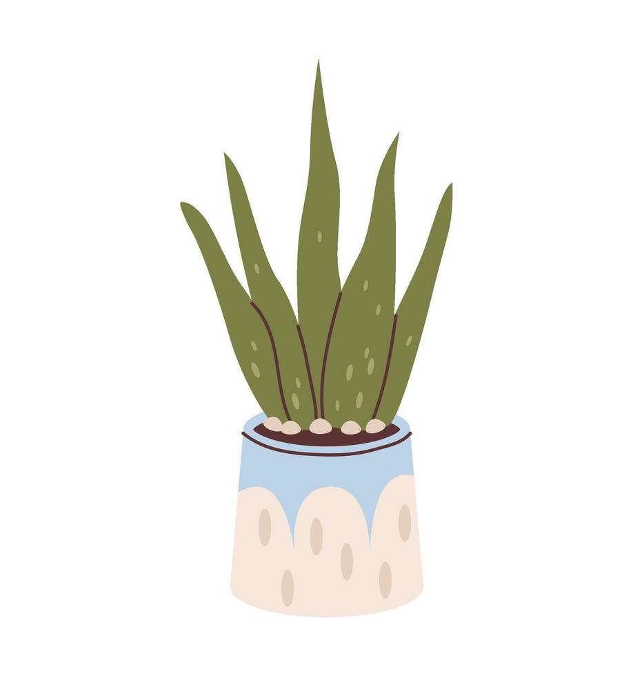 Cactus in a cute pot isolated on a white background. Flat illustration vector