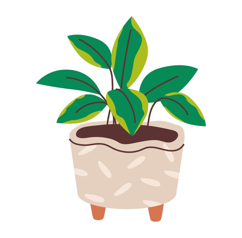 Illustration of a potted plant, showcasing its natural growth and greenery. This art is ideal for projects centered on home gardening, sustainability, and the environment vector