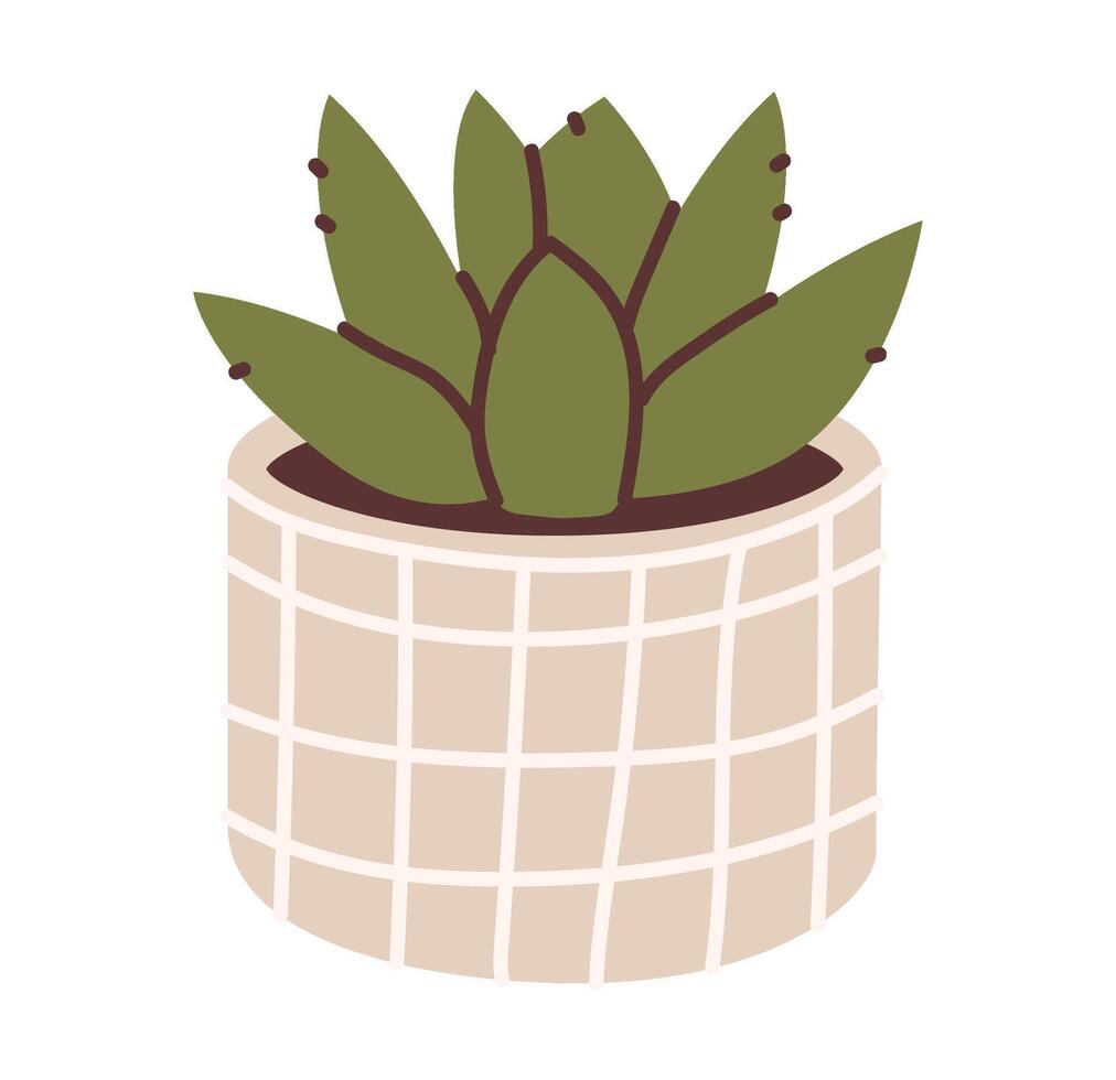 Flat illustration of a cactus in a pot isolated on a white background vector