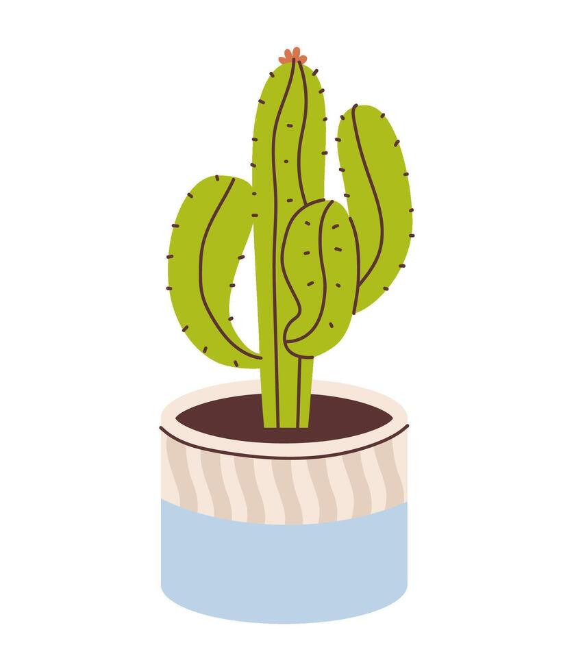 Cactus in a cute pot isolated on a white background. vector