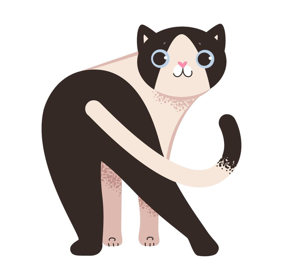 Black and white playful cat. Cute pet cat isolated on white background. vector