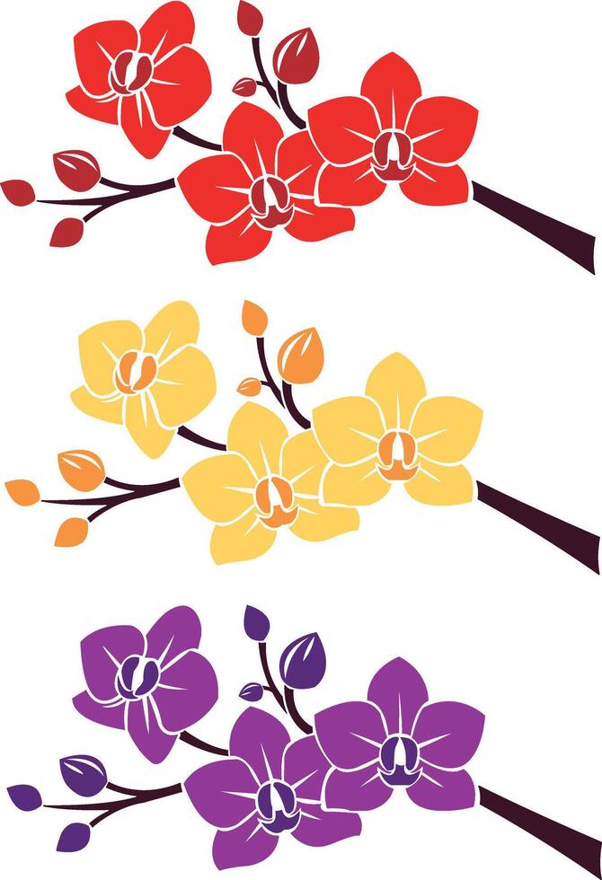 colorful flower silhouette illustration vector