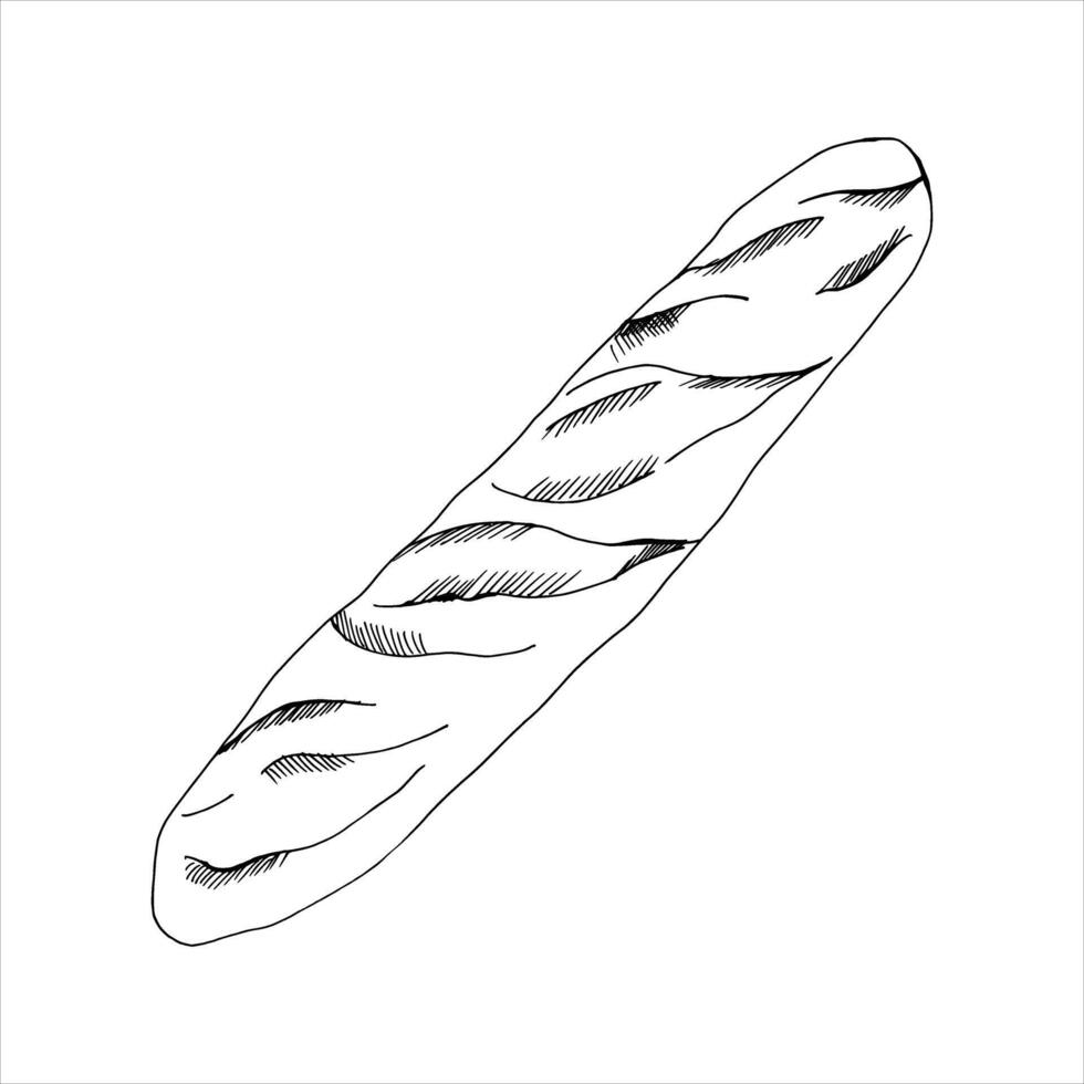 Frech bread bauguette ink outline illustration. Hand drawn graphics , organic freash food for cafe menu, bakery packing, label design vector