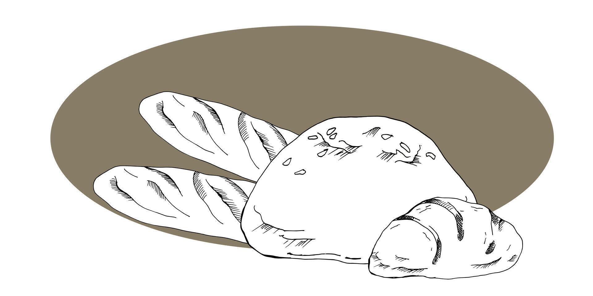 French baguette, loaf of bread and roll ink graphics. Fresh organic food composition in outline style for cafe, menu, bakery, bread packing design. Eco friendly vector