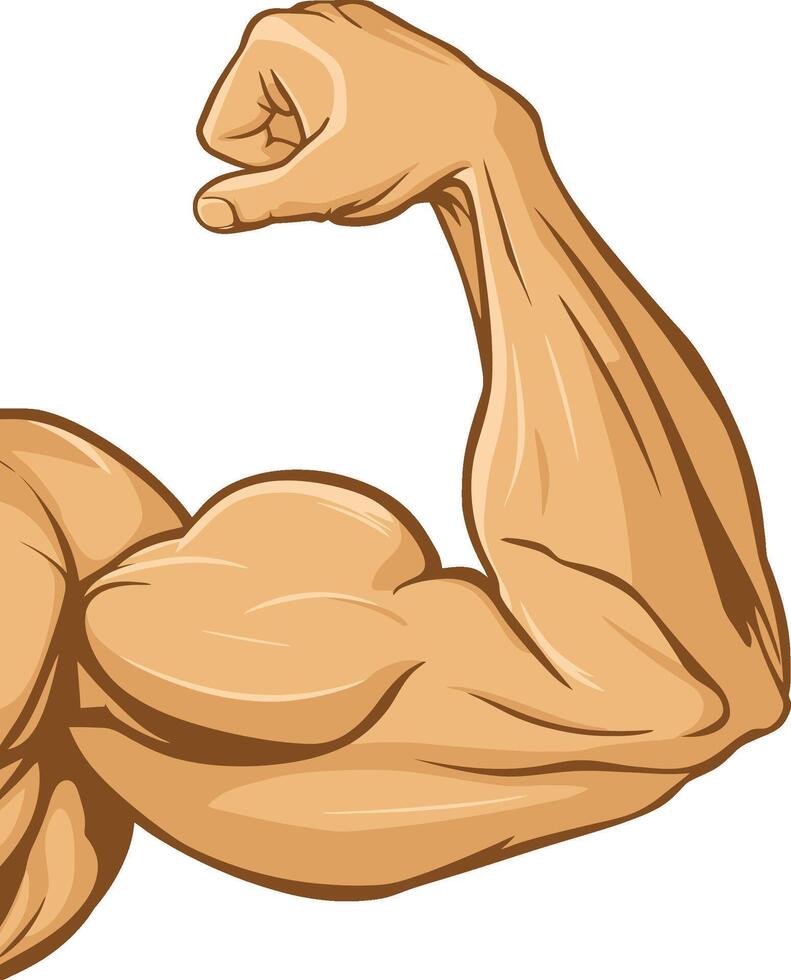 flexing muscular arm illustration vector
