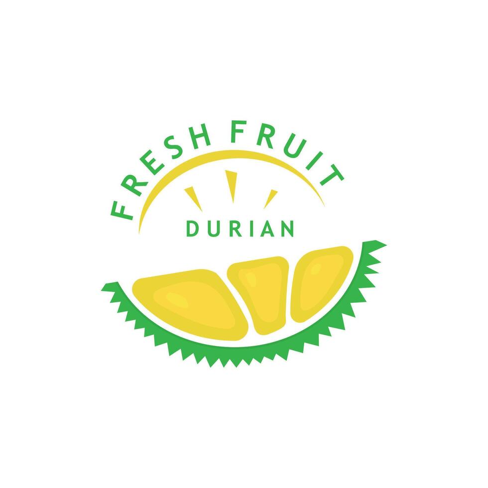 Fresh Durian Fruit Icon vector