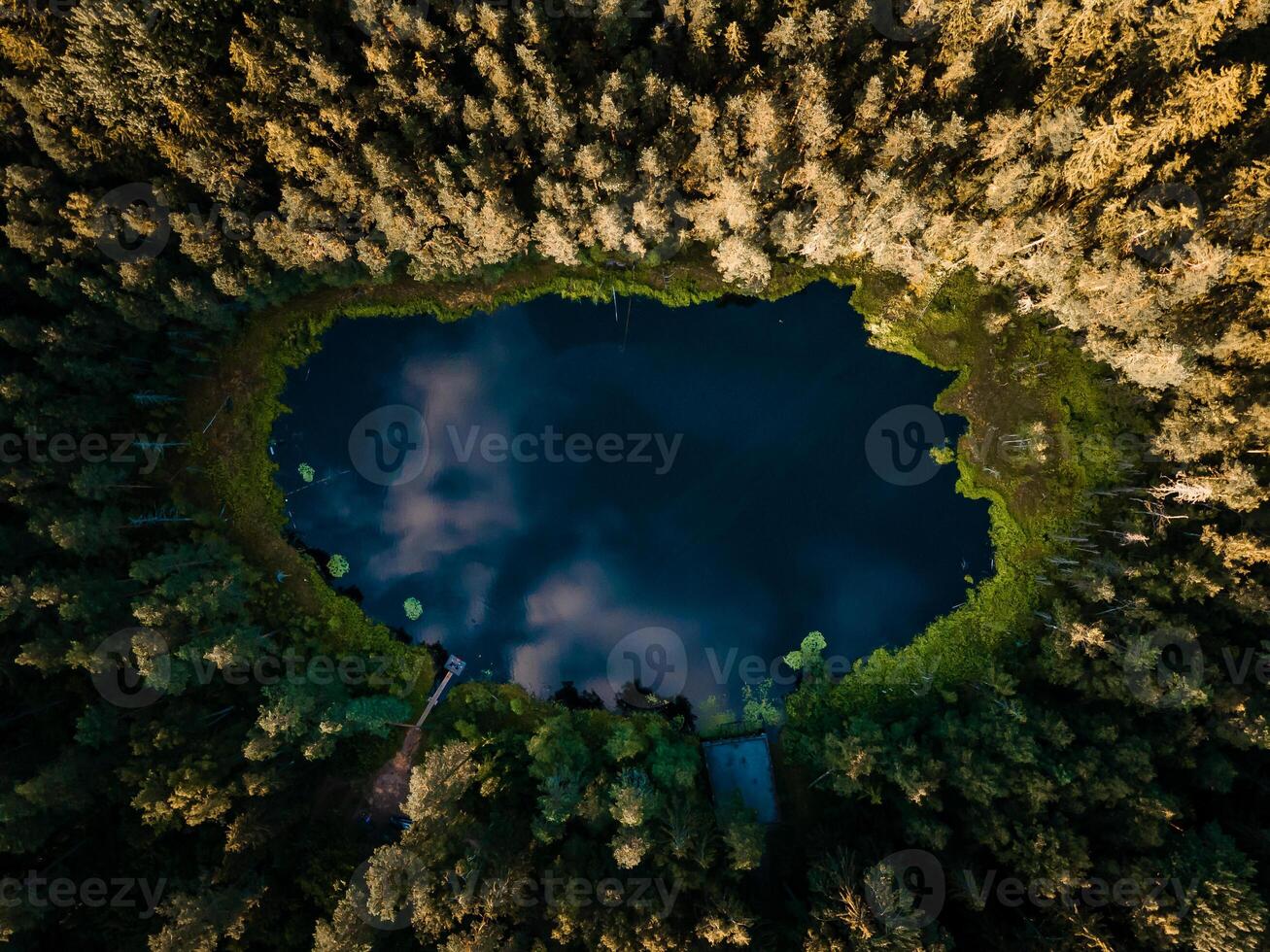 Aerial view of wild forest lake in summer Finland Lapland Small blue lake in green pine tree forest in rural Finland photo