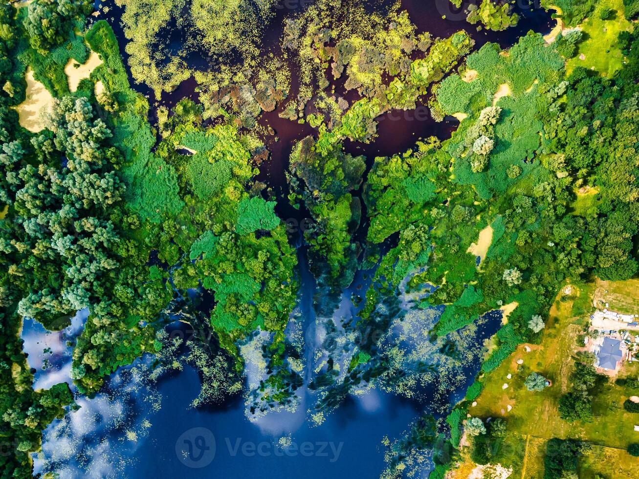 Top view of river backwater with beautiful textured vegetation Background photo