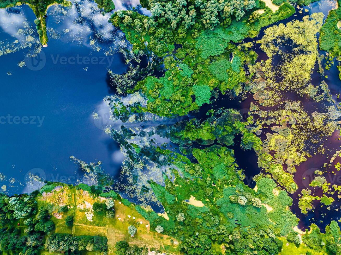 Top view of river backwater with beautiful textured vegetation Background photo
