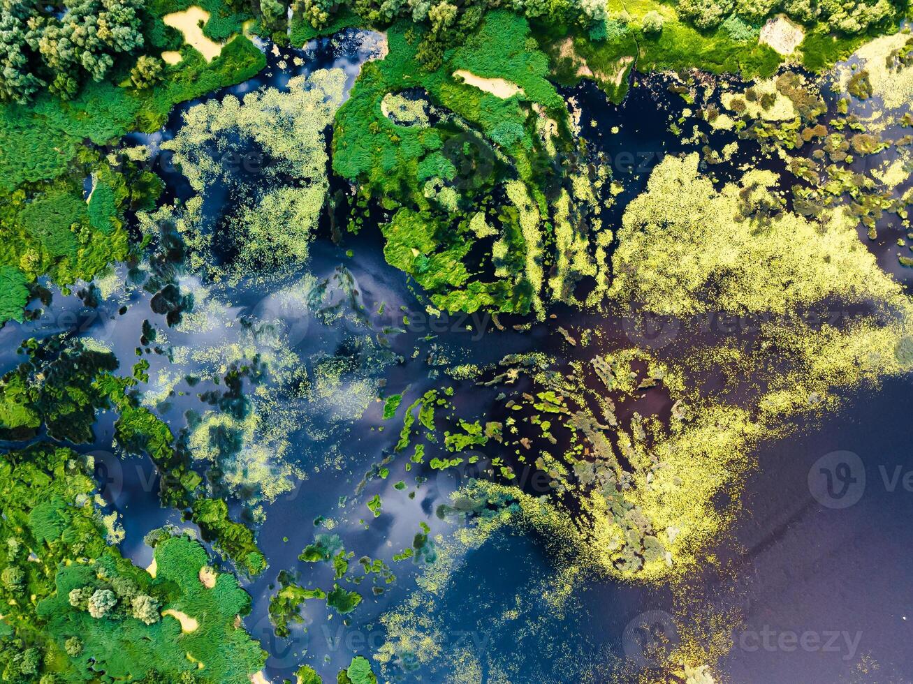 Top view of river backwater with beautiful textured vegetation Background photo