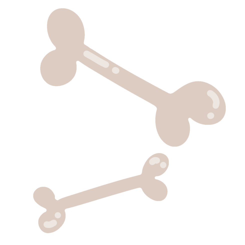 Halloween bone illustration png