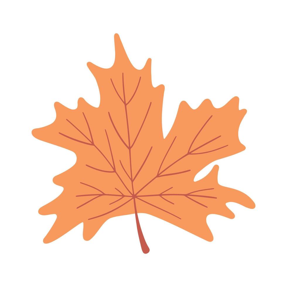 Simple illustration of an orange maple leaf, symbolizing autumn. The design is minimalistic, with clean lines and a focus on the leafs natural shape and texture. vector