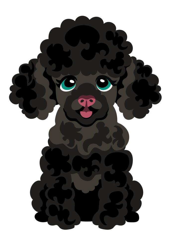 Cute black poodle puppy. isolated illustration vector