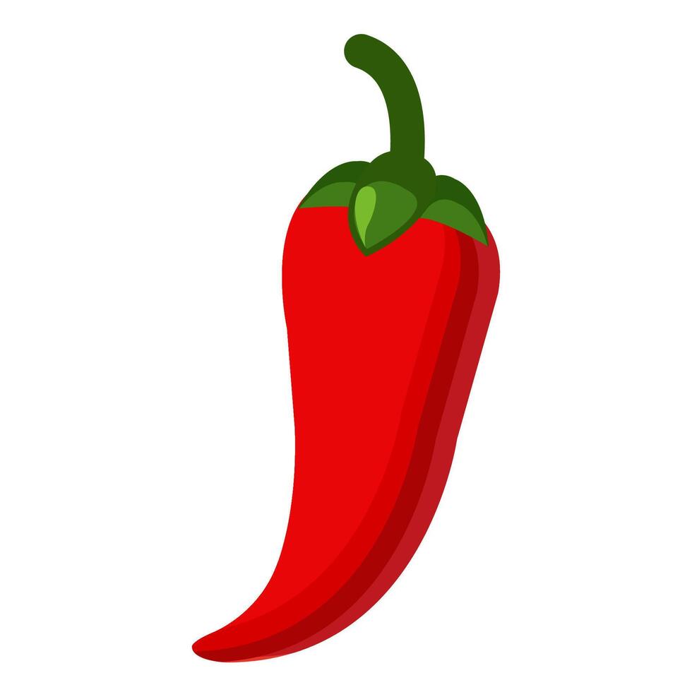 Red chili pepper vector