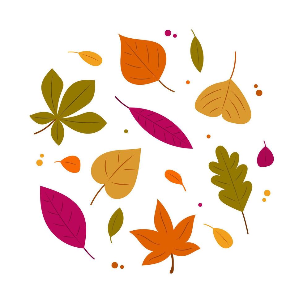 Vibrant Autumn Leaves Illustration - Colorful Fall Foliage on White Background vector