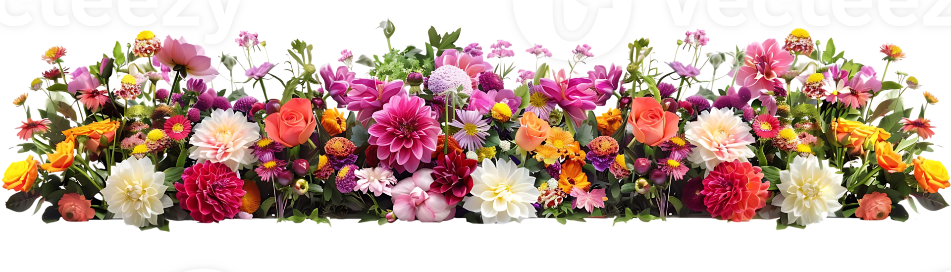 Blooming Flowers with a Transparent Background, Vibrant Colors and Delicate Petals, a Stunning Floral Display with Exquisite Details png