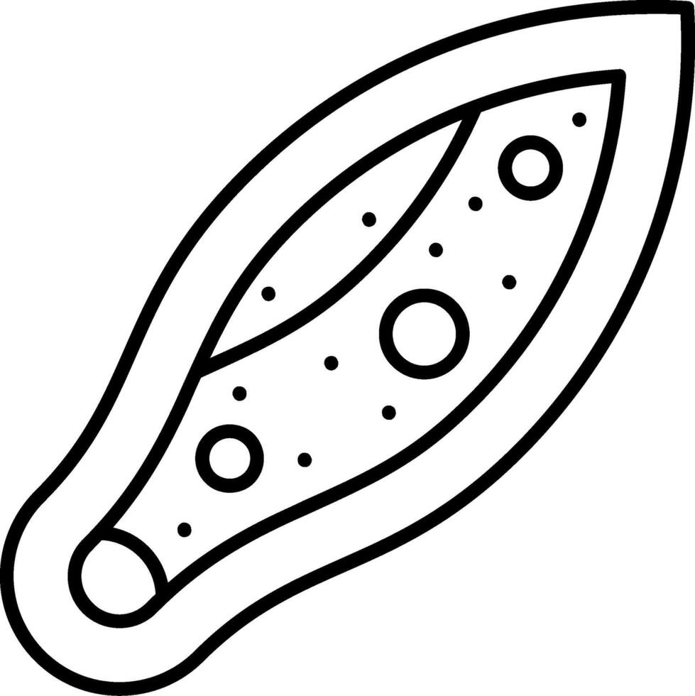 Paramecium Line Icon vector