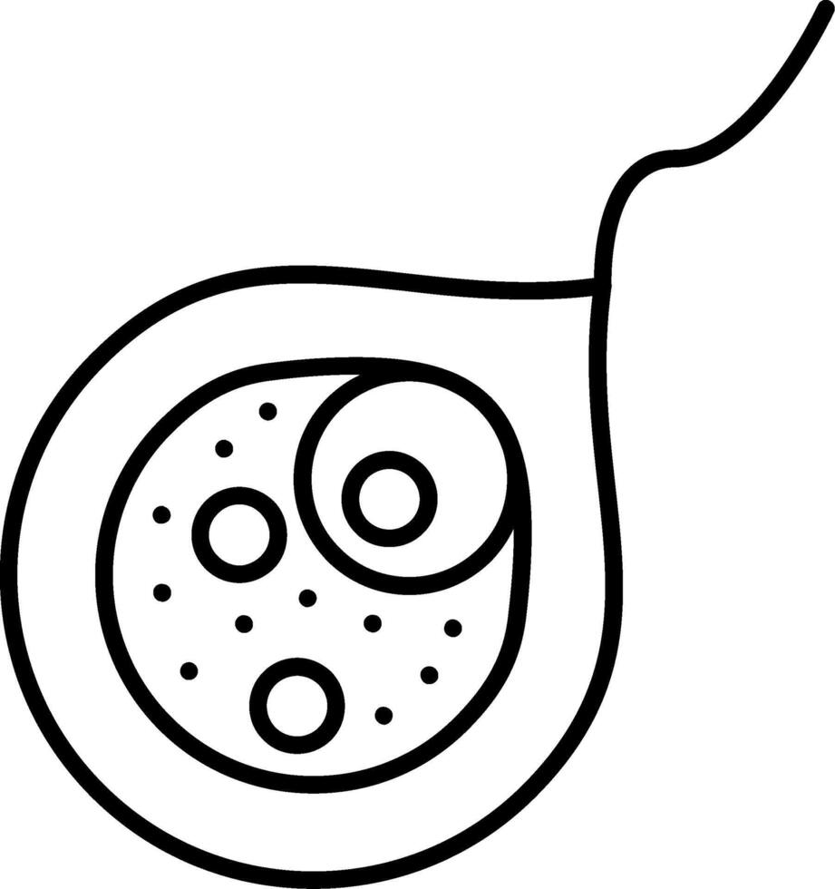 Euglenid Line Icon vector