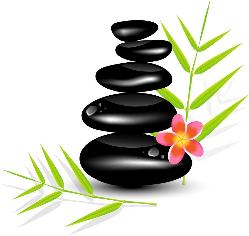 Hot Stone Massages and bamboo leaf vector