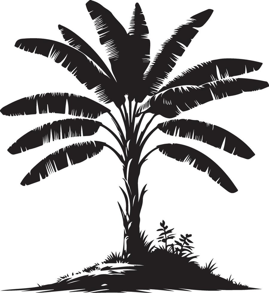 Banana Tree Tree, black color silhouette vector