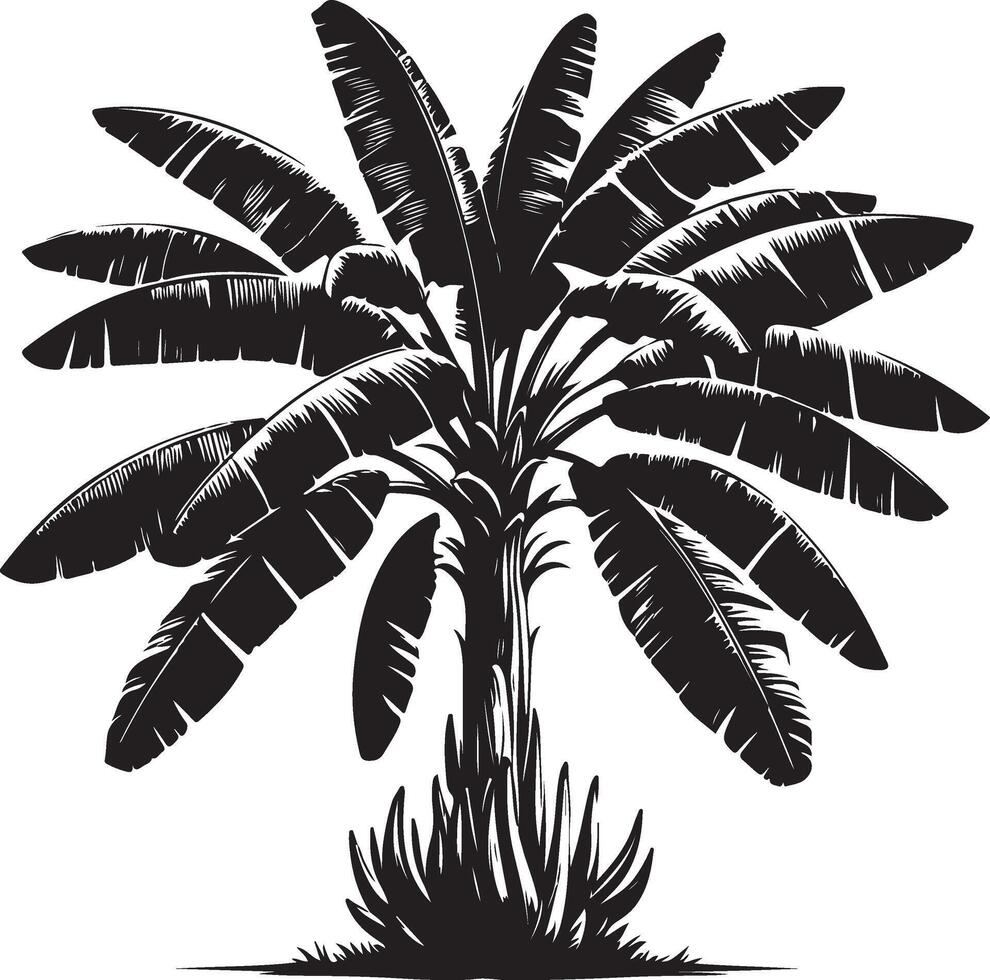 Banana Tree Tree, black color silhouette vector