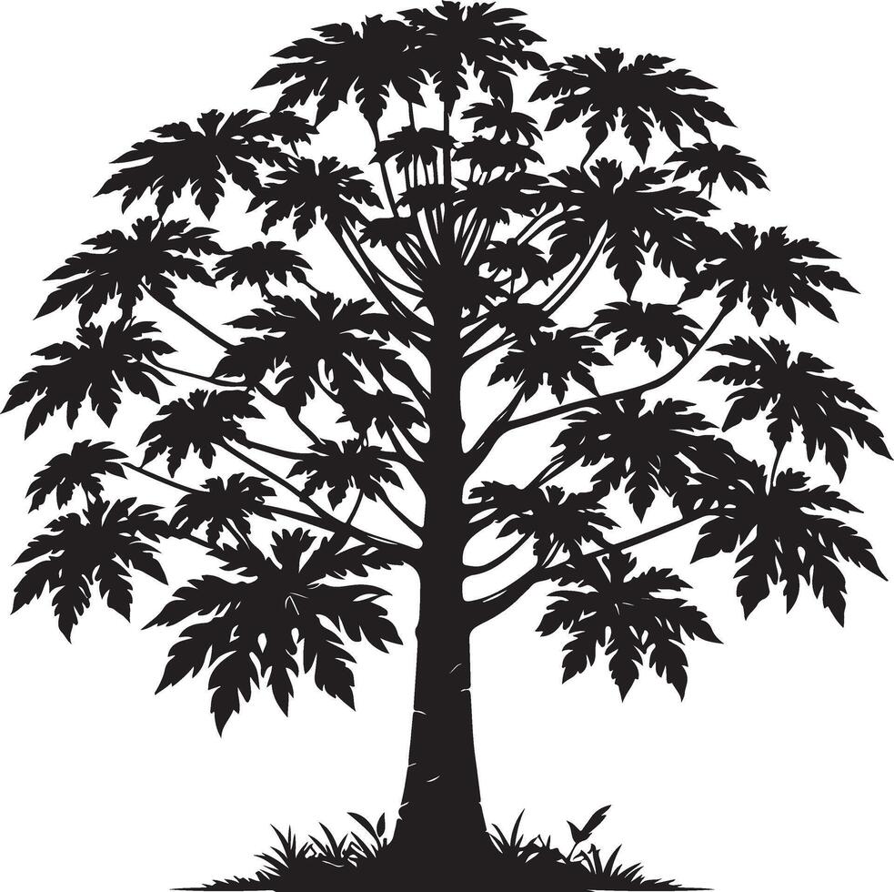 papaya Tree,black color silhouette vector