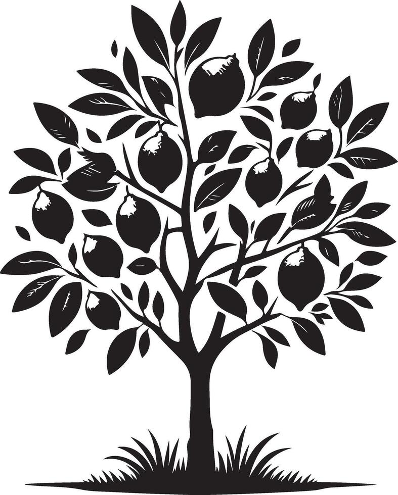 Lemon Tree, black color silhouette vector