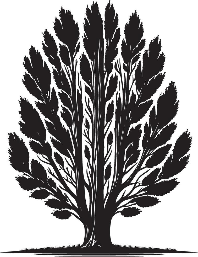 Poplar Tree Tree black color silhouette 48946844 Vector Art at Vecteezy