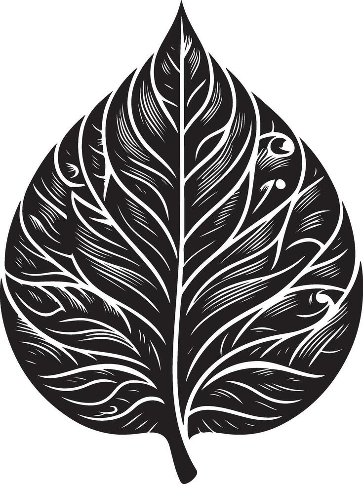 Leaf Shape Images silhouette black color silhouette solid white background vector