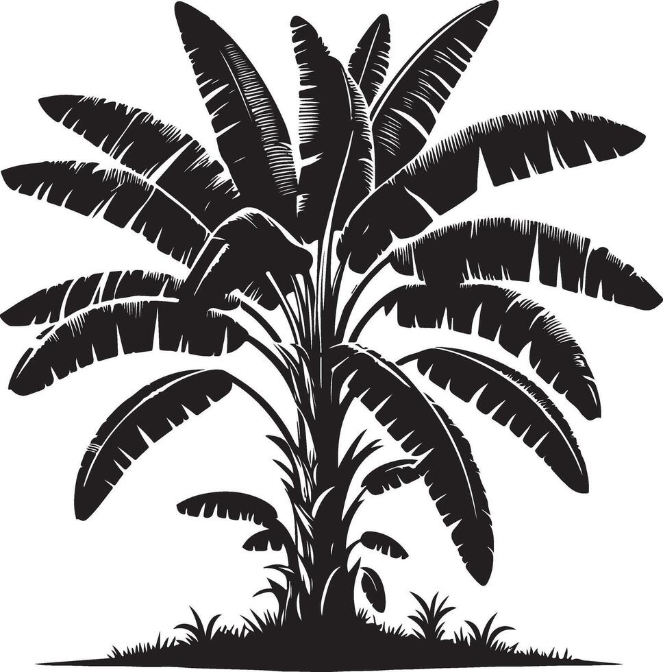 Banana Tree Tree, black color silhouette vector