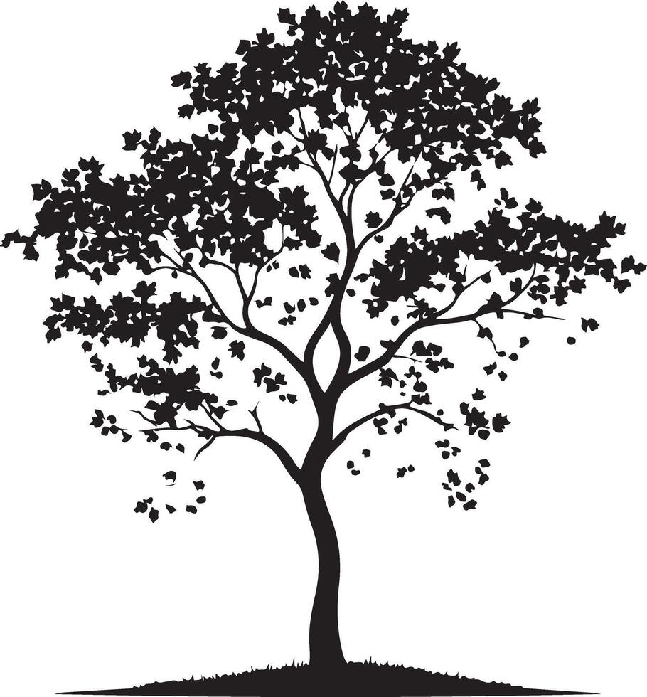field maple tree, black color silhouette vector