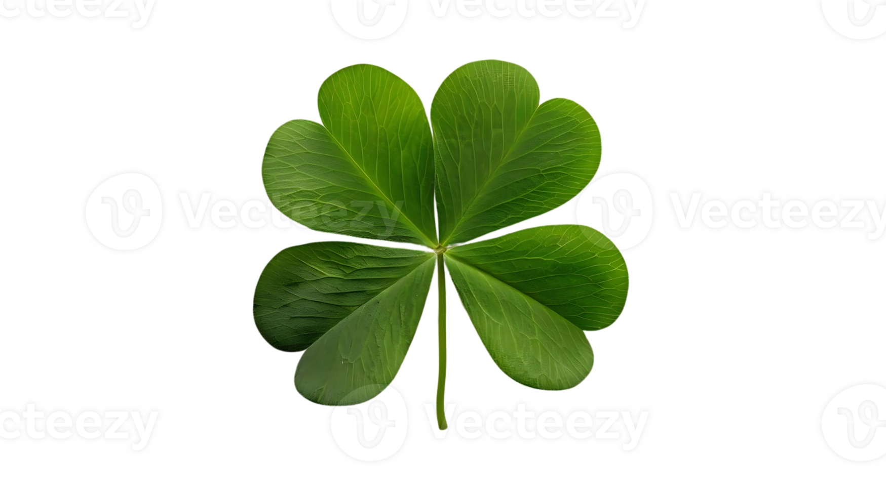 Four Leaf Clover, Green Clover Leaf, Good Luck Charm, Realistic Image png