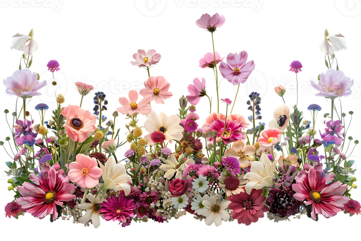 A Vibrant Bouquet of Pink and White Flowers with a Transparent Background, Creating a Beautiful Floral Display png