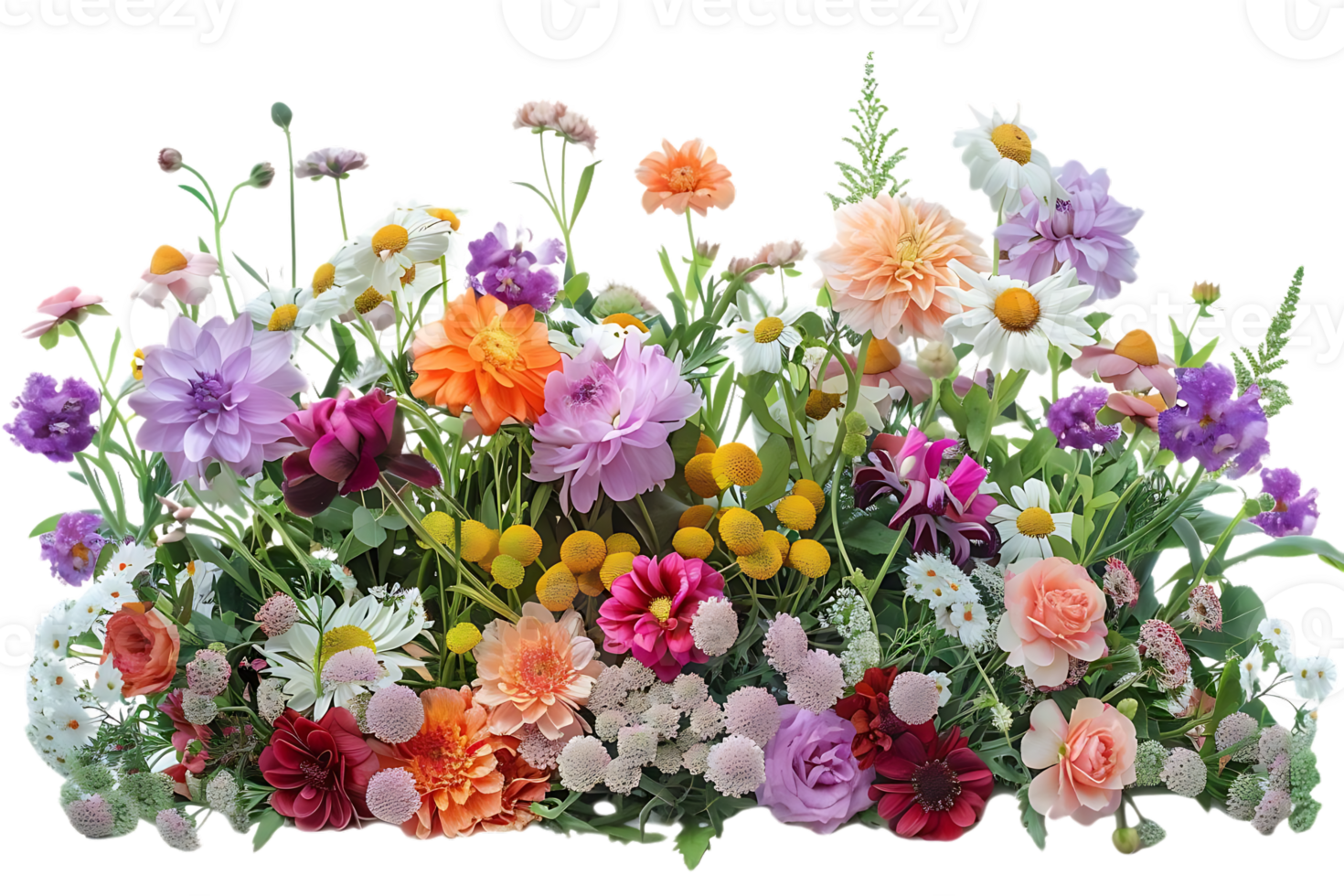 Vibrant Wildflowers Blooming with a Transparent Background, a Floral Tapestry of Color and Beauty png
