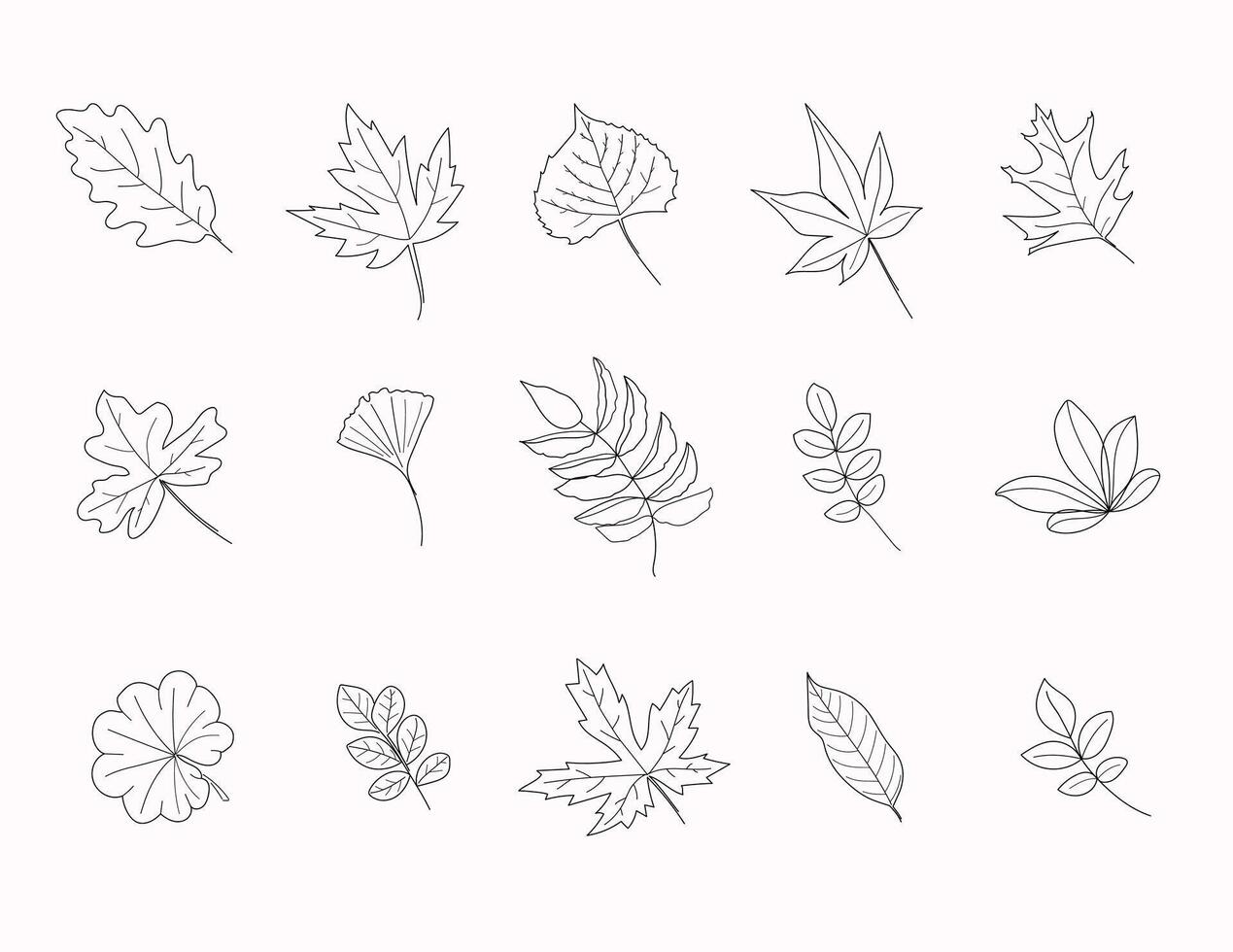 Decoration Branch Leaf Plant Line art Symbol Set Collection bw isolated on white background vector