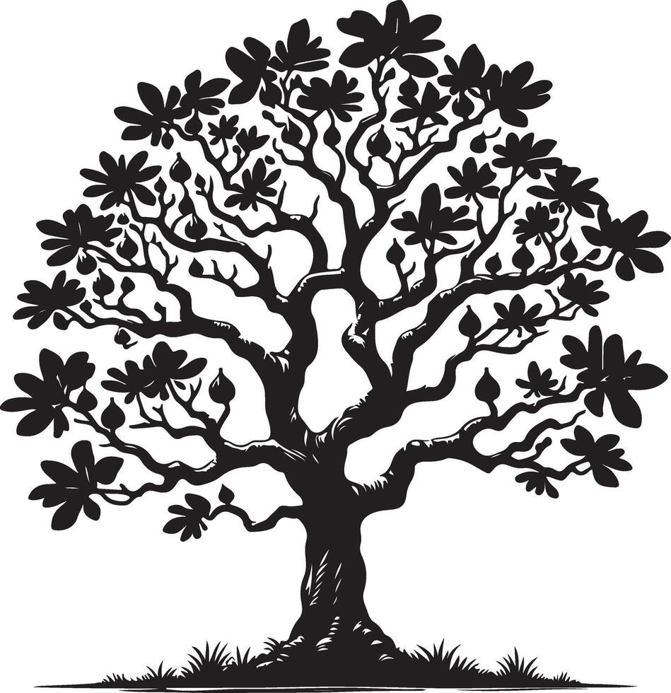 Fig tree, black color silhouette vector