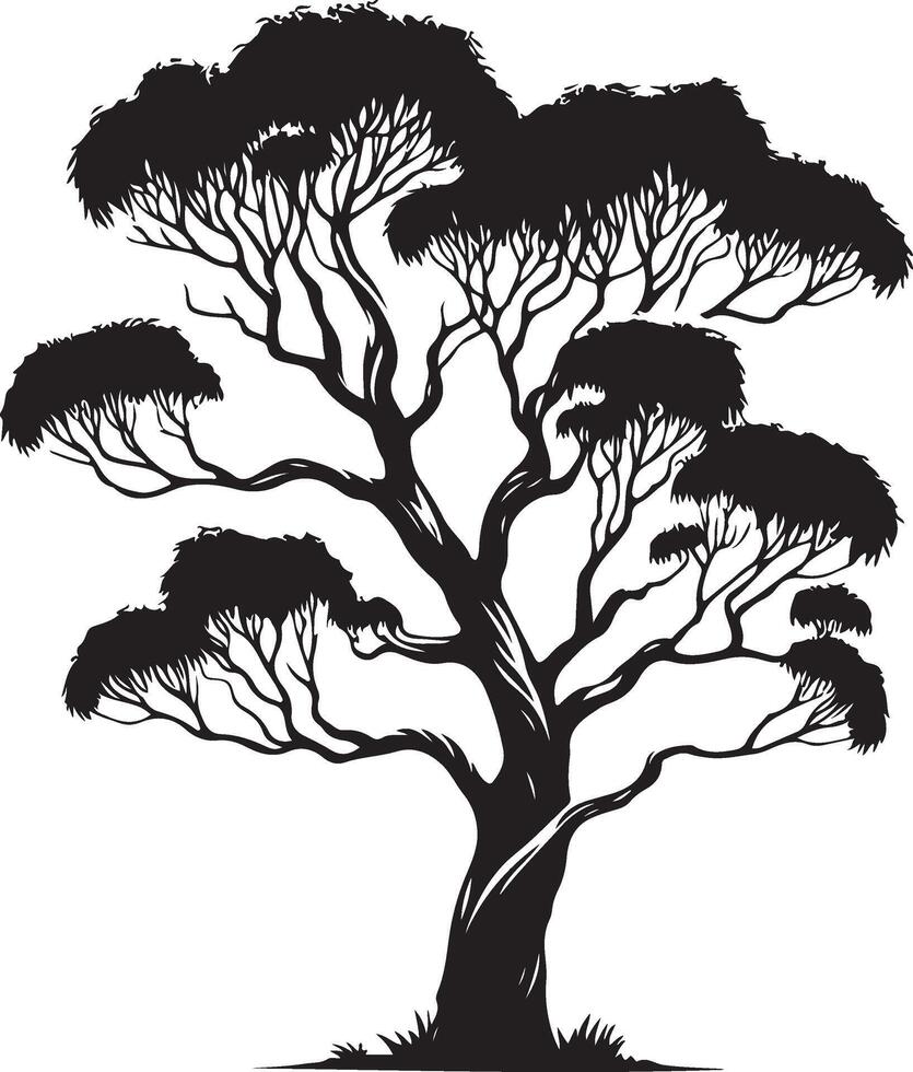 Eucalyptus Tree ,black color silhouette vector