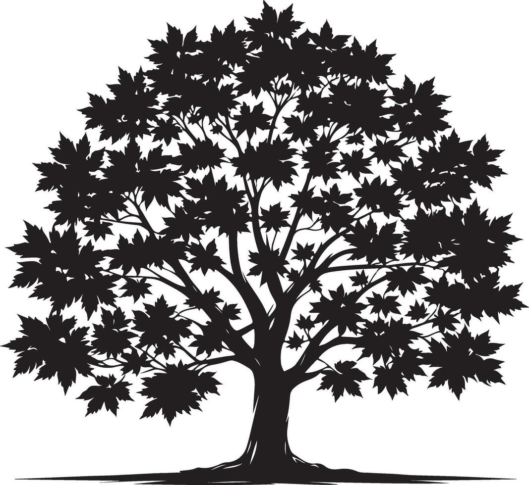 Maple leap silhouette isolated white background vector