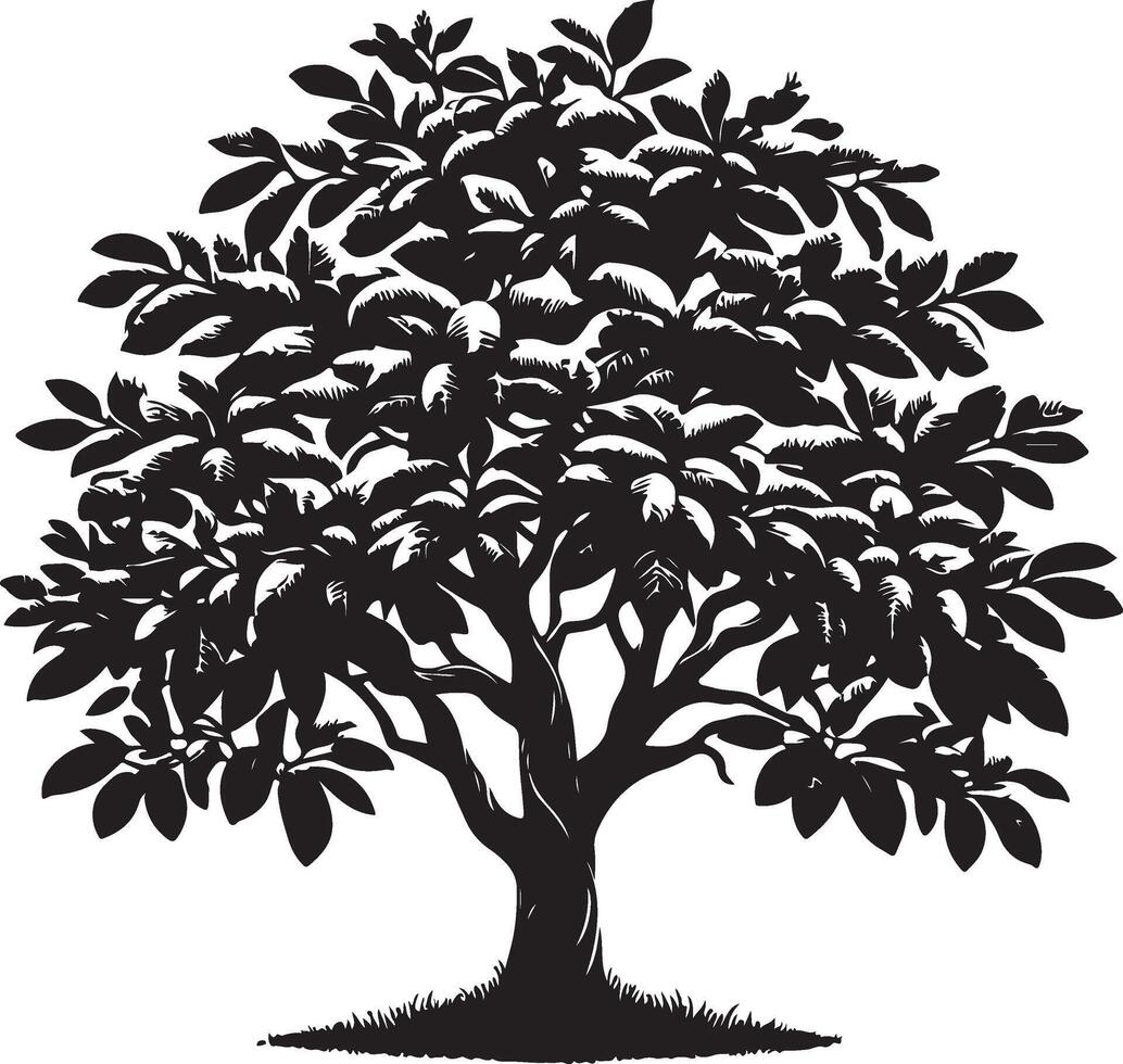 guava Tree ,black color silhouette vector