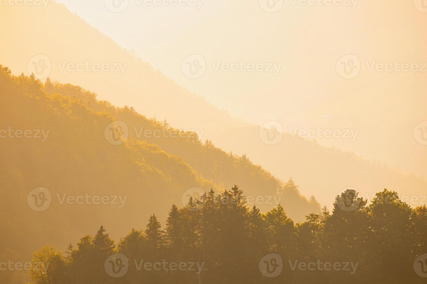 Sunset Summit The Alps in Glorious Golden Light photo