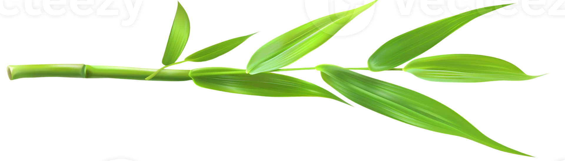 verde bambù ramo illustrazione png