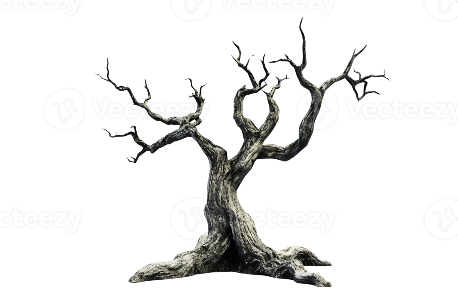 old dead spooky tree on a transparent background png