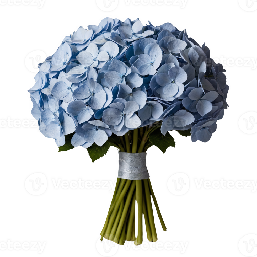 Blue Hydrangea Bouquet Symbolizing Gratitude and Understanding png