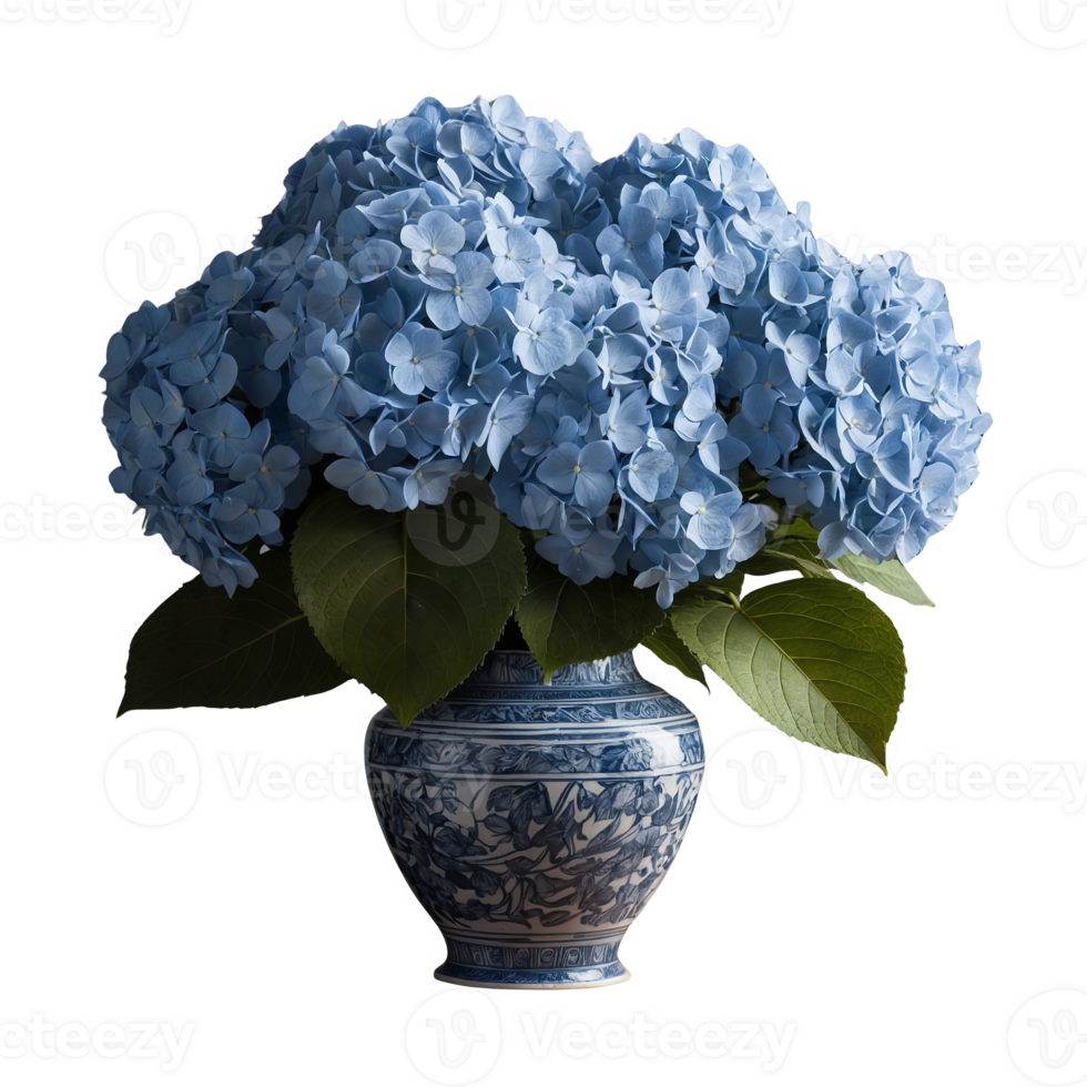Blue Hydrangeas in a Vase Symbolizing Gratitude and Understanding png