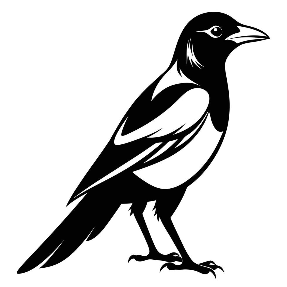 Black White magpie silhouette vector