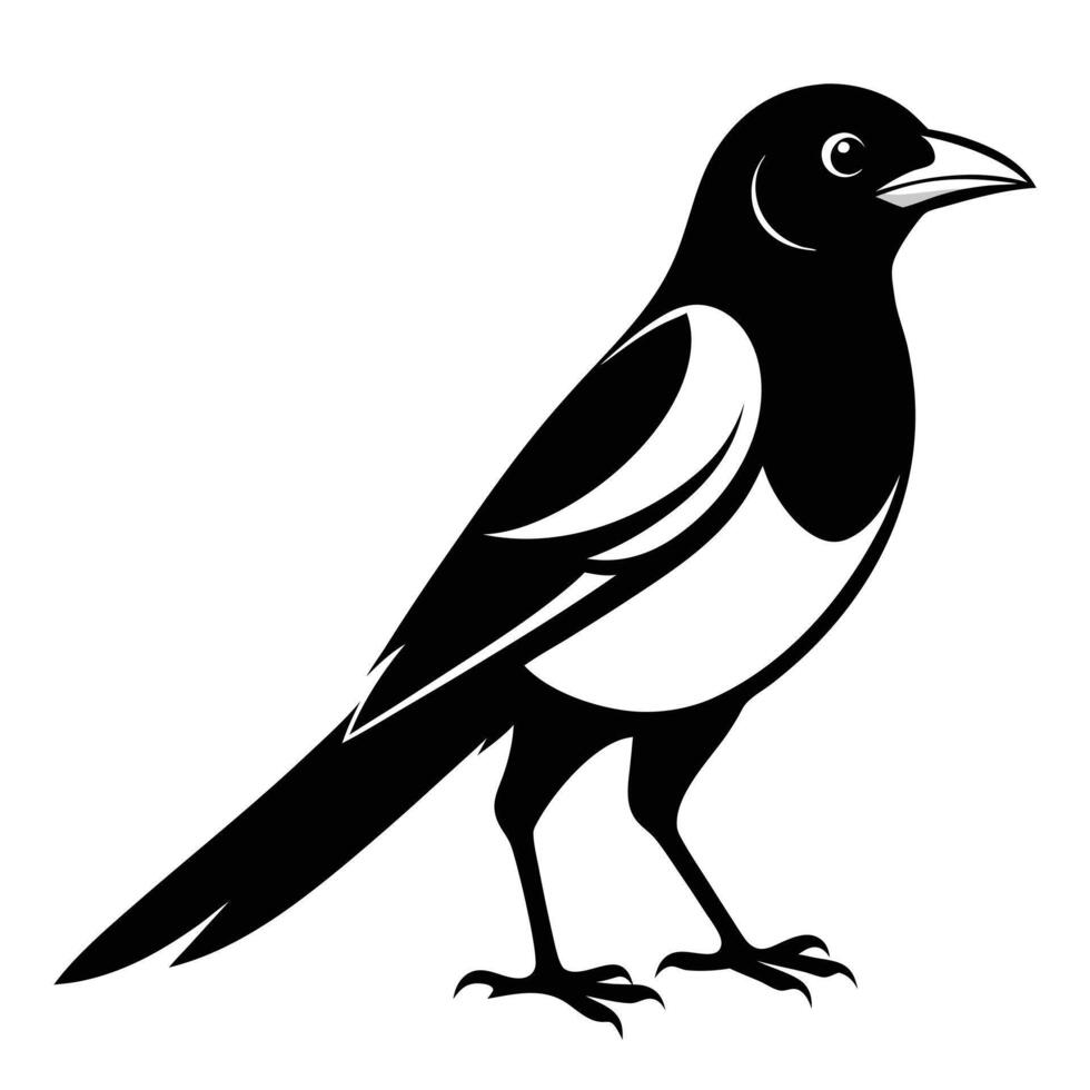Black White magpie silhouette vector