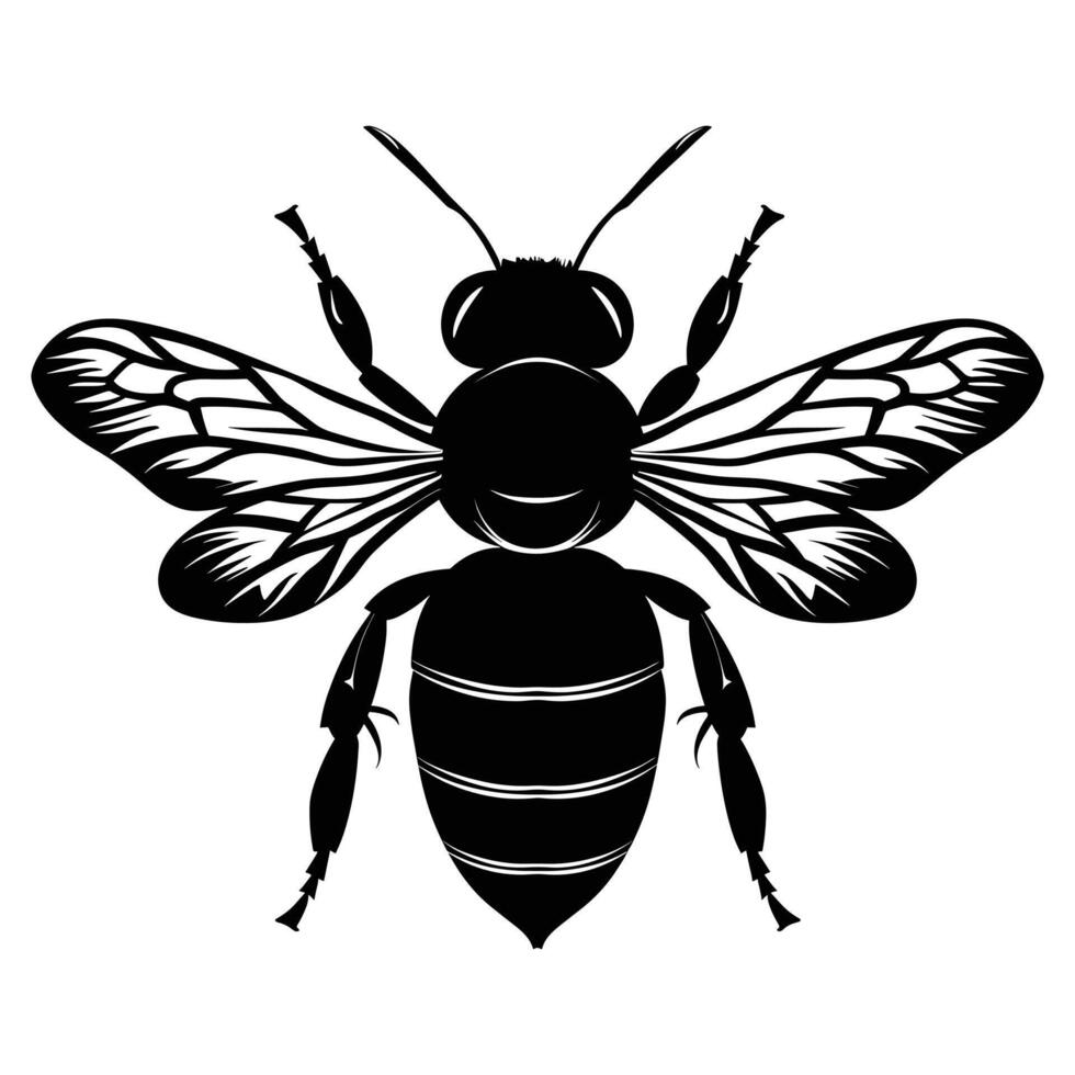 Honey Bee silhouette isolated on white background. Icon illustration vector