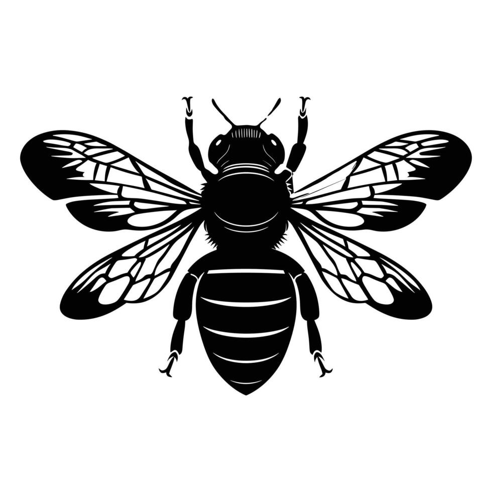 Honey Bee icon, honey bee silhouette on white background. black and white, silhouette bee illustration vector